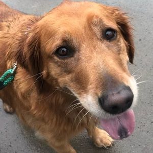 Meet your Posher, Breanna